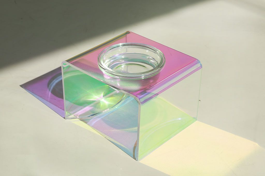 Acrylic Pet Bowl