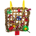 Colour Block Parrot Chew Toy
