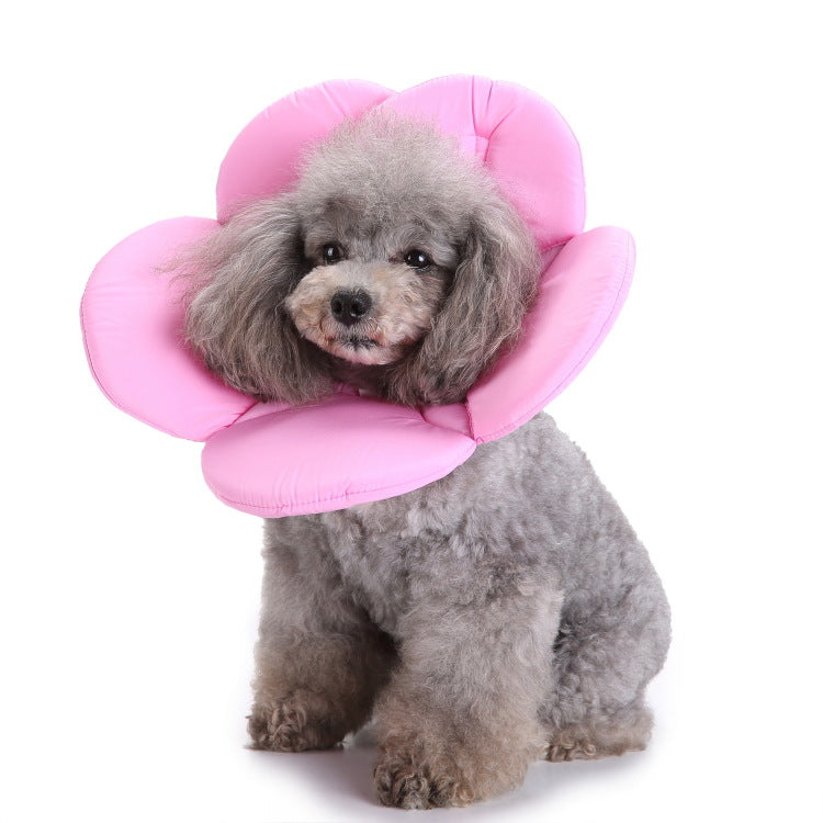 Floral Bandana Dog Collar