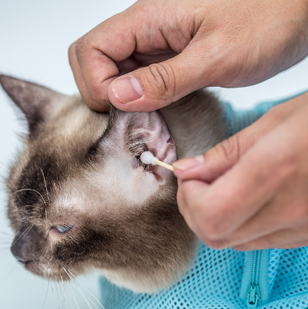 Adjustable Cat Grooming & Bath Bag