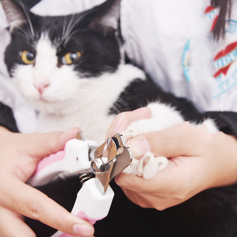 Stainless Steel Pet Nail Clippers
