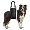 Adjustable Dog Mobility Support Belt
