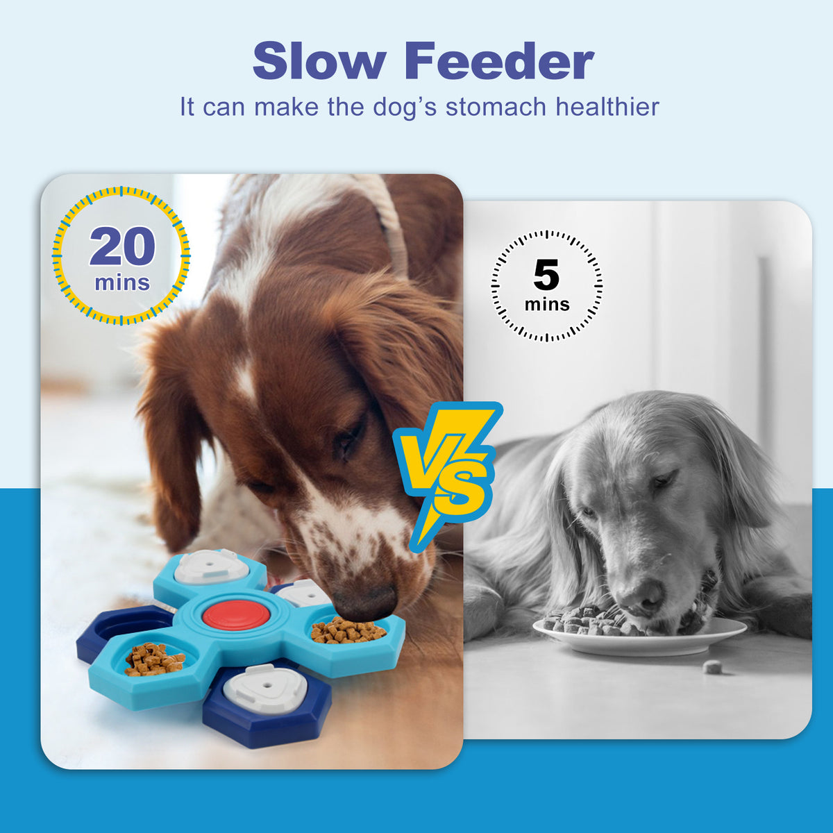 Pawmingo 4-Layer Slow Feeder Puzzle Bowl