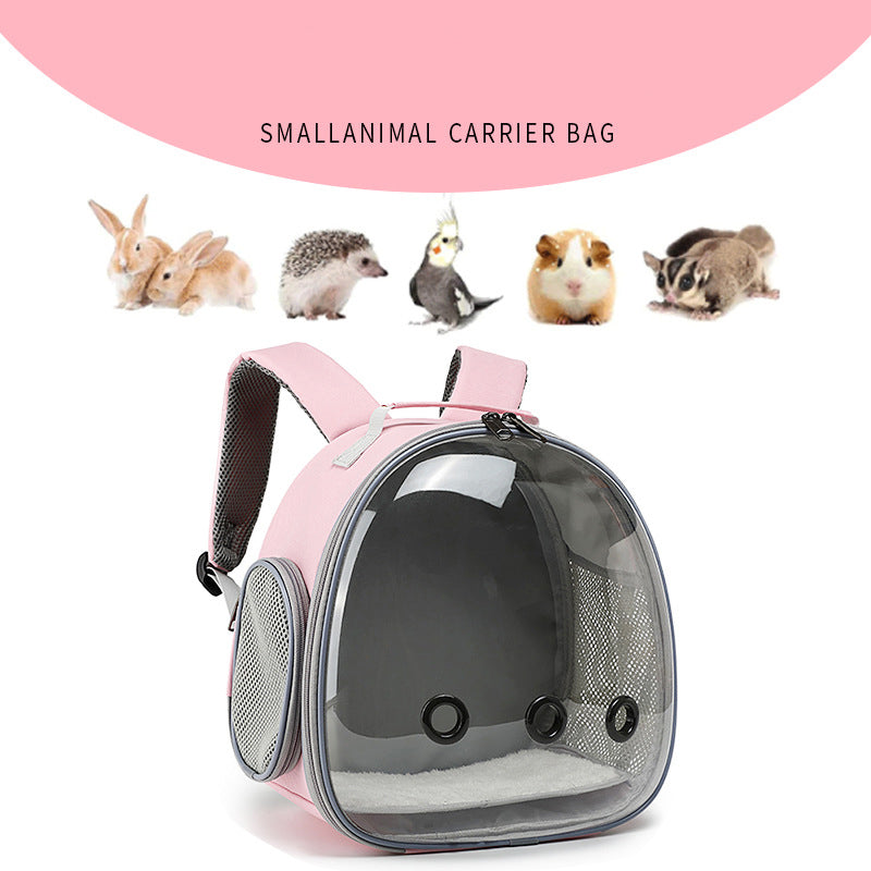 Transparent Small Pet Backpack Carrier