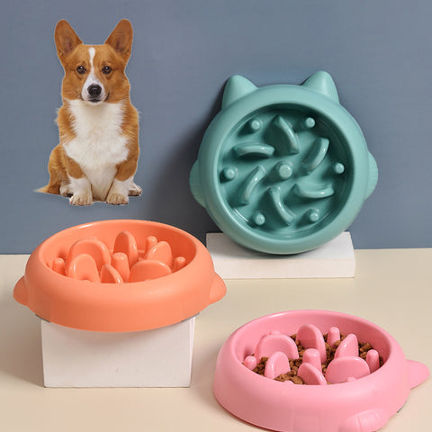 Pawmingo Slow Feeder Bowl for Dogs & Cats