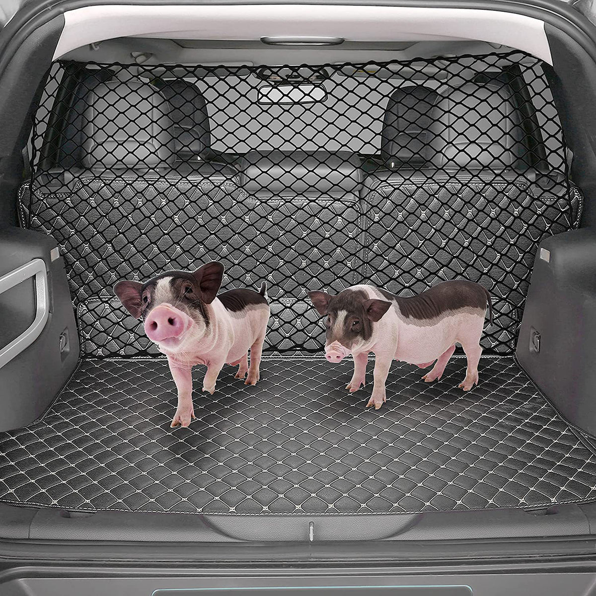 Dog Car Divider Net