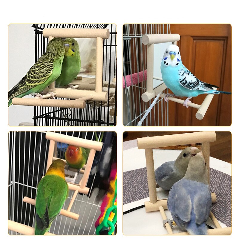 Wooden Bird Perch with Mirror