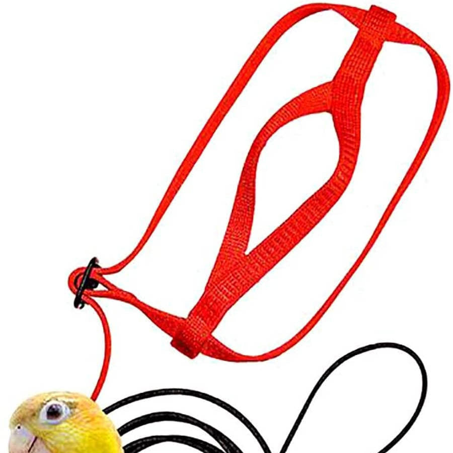 Parrot Harness & Flying Leash