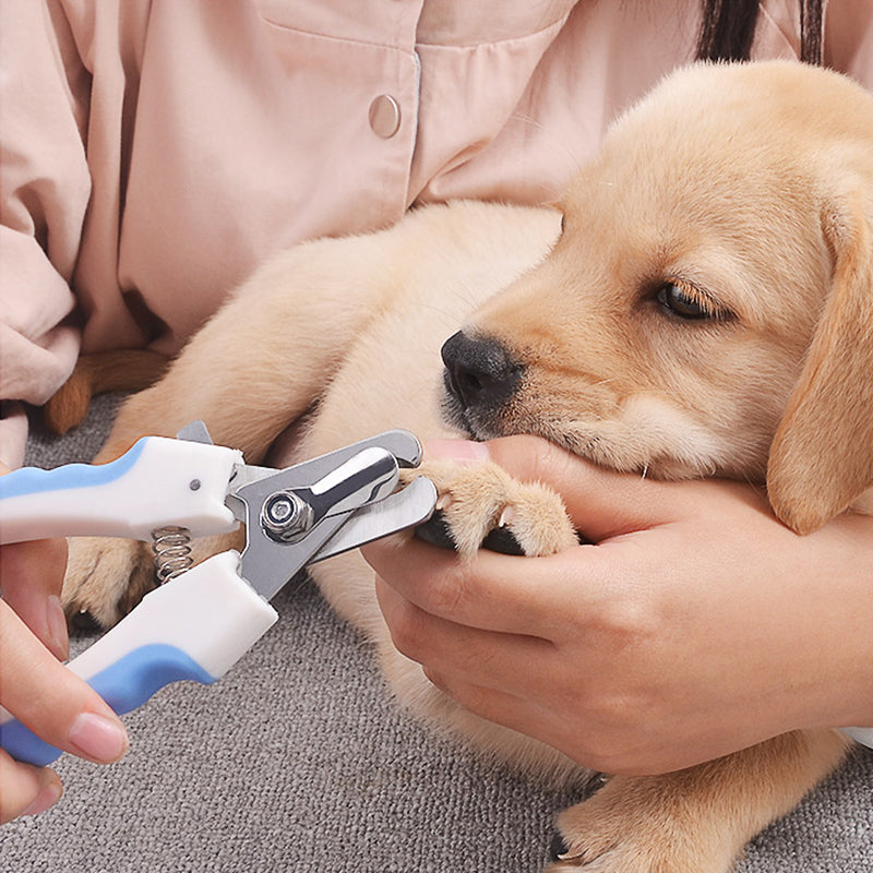 Stainless Steel Pet Nail Clippers