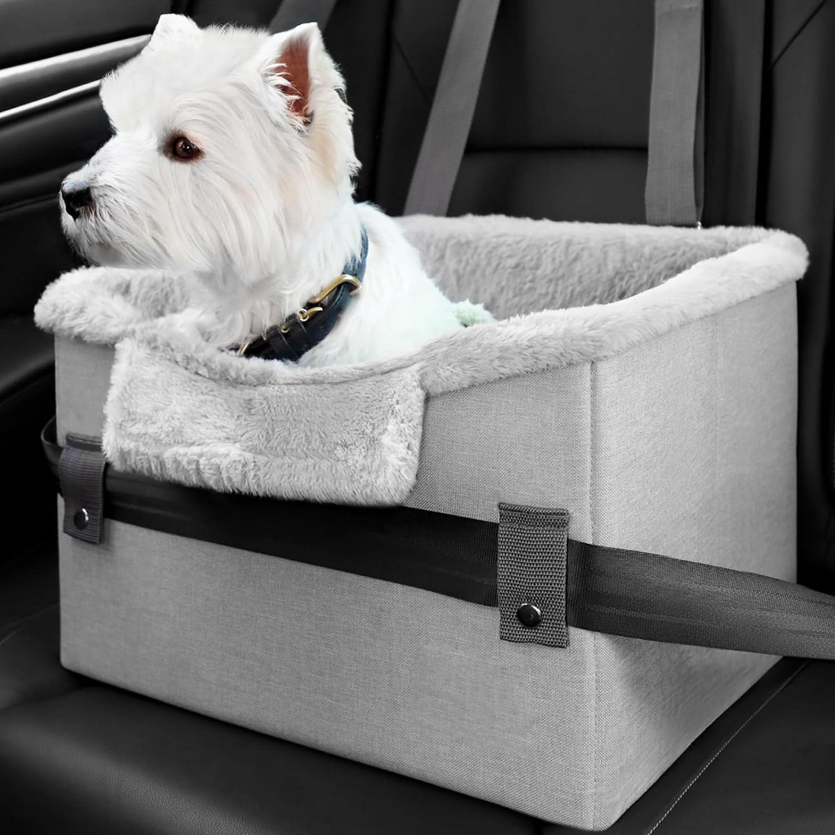 Small Pet Car Booster Seat