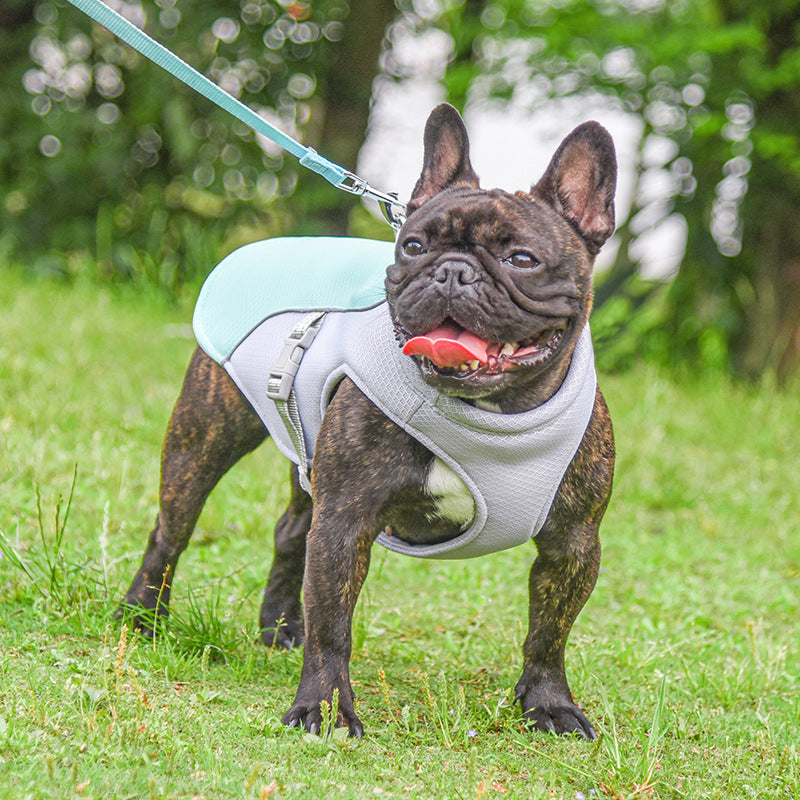 Breathable Cooling Vest for Dogs