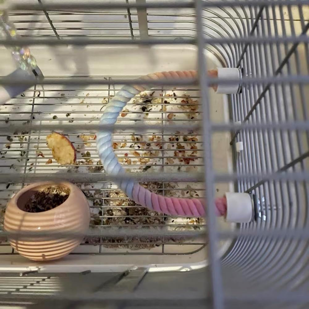 Bendable Gradient Rope Bird Perch
