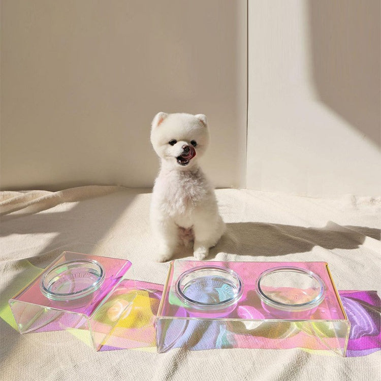 Acrylic pet food bowl