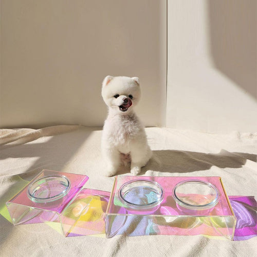 Acrylic pet food bowl
