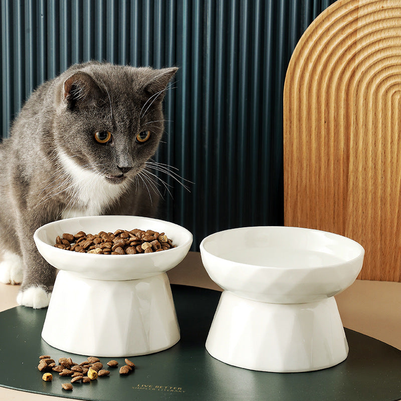 Elevated ceramic cat food bowl