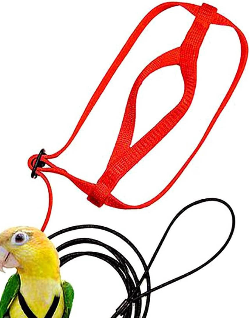 Parrot Harness & Flying Leash