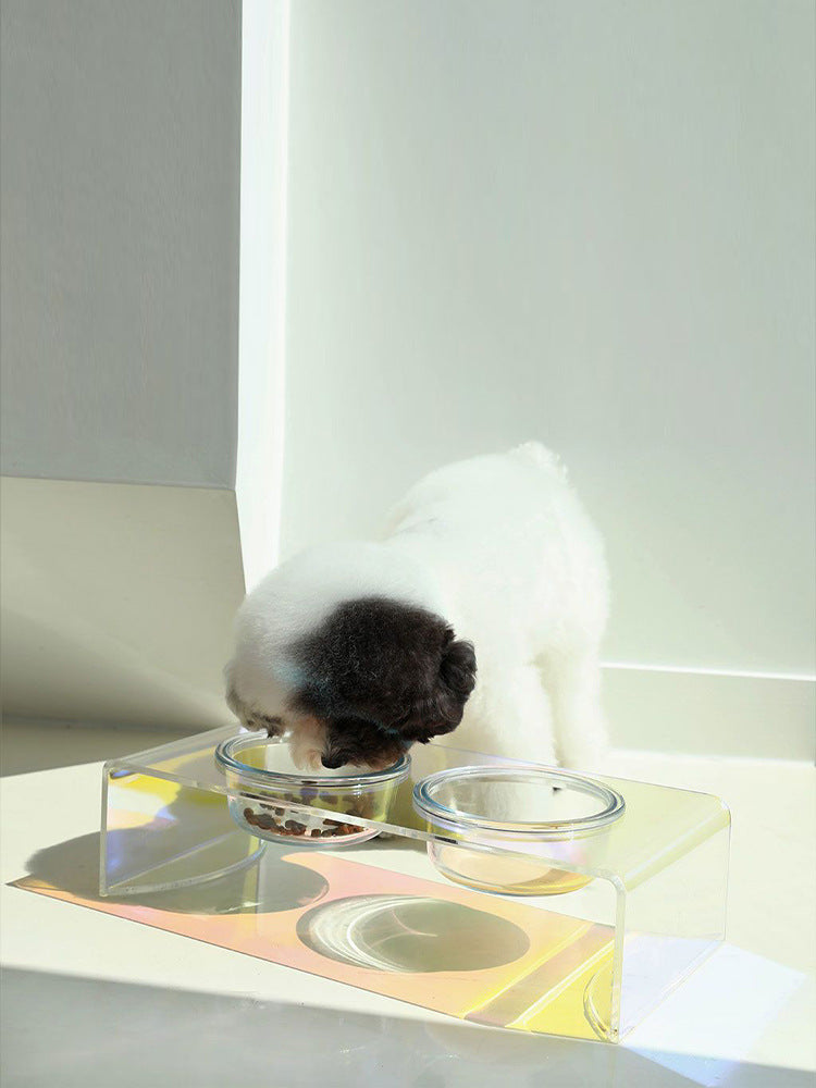 Acrylic Pet Bowl