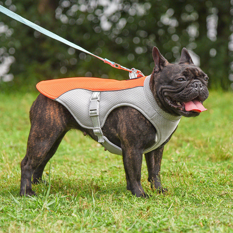 Breathable Cooling Vest for Dogs