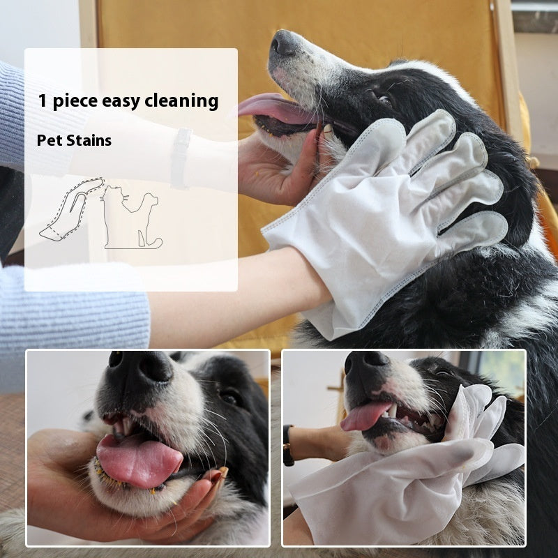 Disposable Pet Cleaning Gloves – 6 Pack